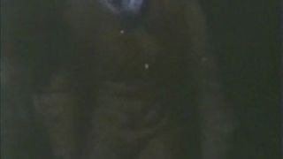 Action of Revenge - Jo Ann Harris (infrequent rape movie episode)