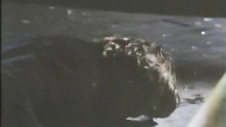 Cub Lake - Robin Mattson (rape)