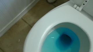 Beauty Sis (Lana Rhoades) Big Ass Bouncing On My Cock - Family Show (Season 05, Episode 02)