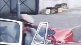 Fruehlings-erwachen (Diamant Video)