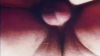 Fruehlings-erwachen (Diamant Video)