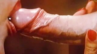 Blowjob Scenes. Handjob Vintage Taboo. Gang Bang Cumshots.