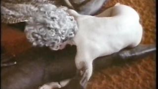 Taboo CLassic - Sexeck