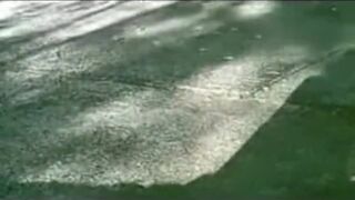 Old School Inexperienced Taboo. Three-Way Orgy Outdoors