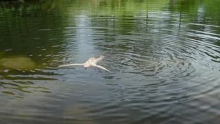 Florence Janas naked - Les Rosiers Grimpants (2016) French Erotic