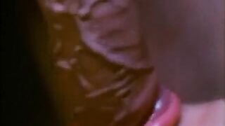 Vintage Blowjob Scene. Just Oral Without Sex