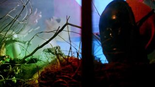 Angelica Ulloa without bra - Moon Garden (2022) Music Naked Pinch