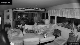 Victoria Vertuga Nakedness. Total Frontal Hidden Webcam Episodes