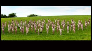 Daphne Dumons bare, Lucie Muratet nude, etc. Normandie nue (2018) Public bareness video scenes