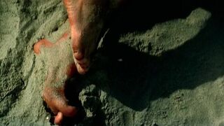 Joanna Pokojska nude - Siec (2003)