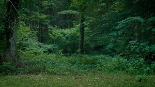 Louise Manteau nude - Wolfkin (2022) Explicit Naked & Pure Scene