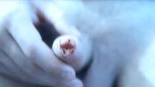 Roberta Gemma nude, Alvia Reale nude - Hyde's Secret Nightmare (2011) Explicit Inexperienced Horror Episodes