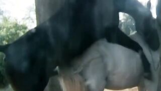 Explicit Nudity Actress Masturbation and Forced Sex Scenes. Paganini (1989) Eva Grimaldi nude,Tosca D Aquino nude