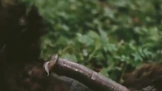 Monster Explicit Sex Scene (FULL) - The Beast (1975) UNCENSORED TABOO FILM