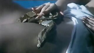 The Erotic Dreams of Cleopatra (1985) Retro Taboo Film | Snake on Pussy