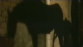 Classic Movie Scene. Cleopatra - Sex and Horse