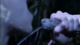 Middeleeuwse kingdom xxx. Blowjob to the Fairy Tree