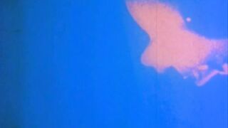 Vintage blowjob slow-motion video. Explicit erotic art. Retro film scene