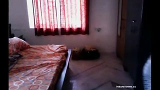 Desi Brother and Sister Quick Fuck